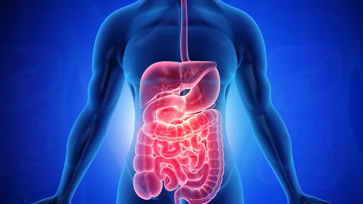 Thumbnail for video about teach me about my digestive system.